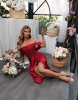 STELA BURGUNDY DRESS