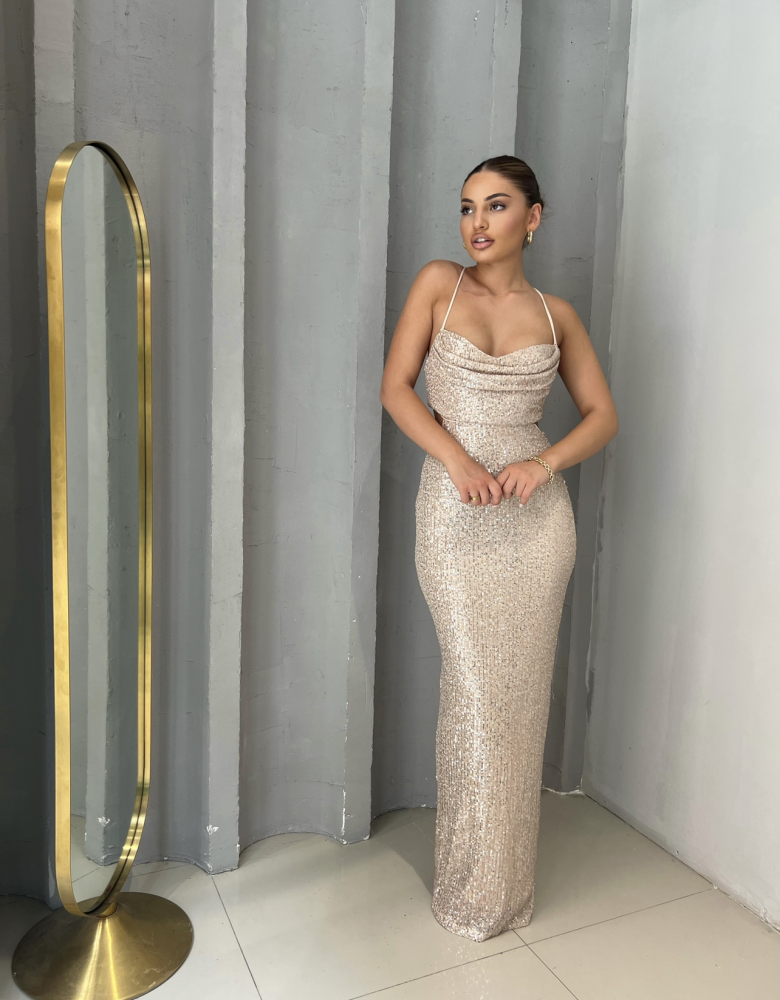HANA ROSE GOLD DRESS