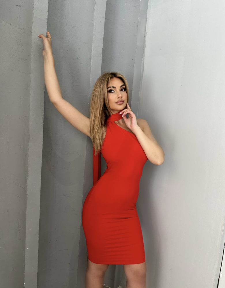 ELISA RED DRESS